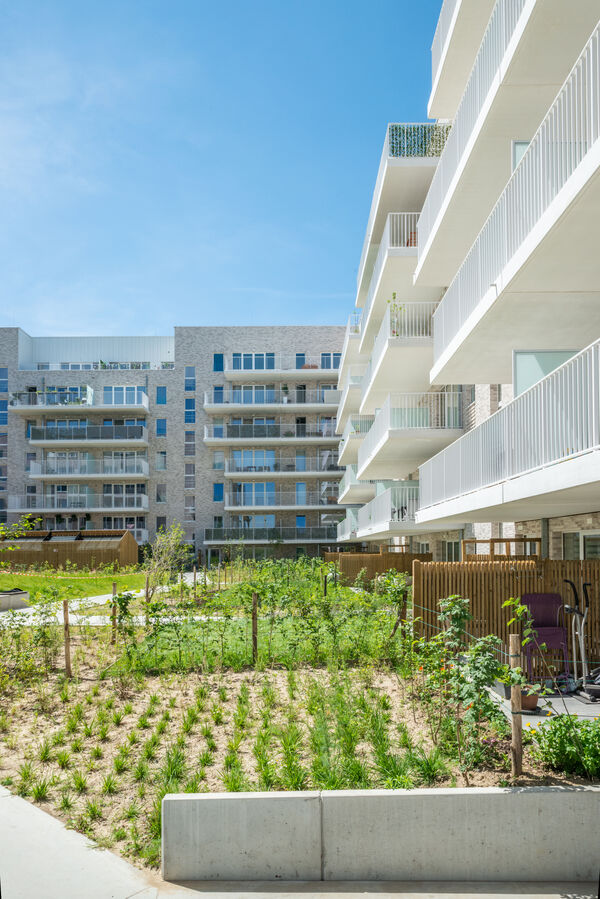 Projet « Village Etoile », rue de Stalle 228A-C, Uccle