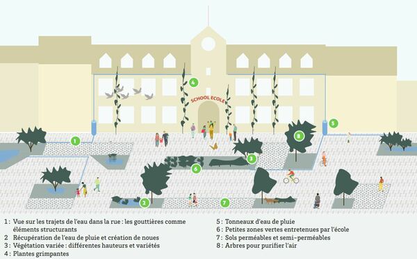 Exemple d'aménagements possibles pour créer un abord d'école vert et sain