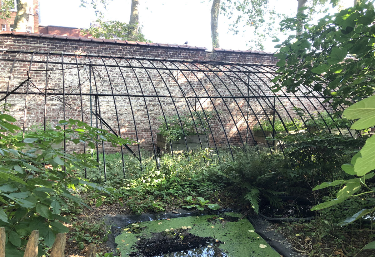 The greenhouse at Sint-Ursula school in 2021