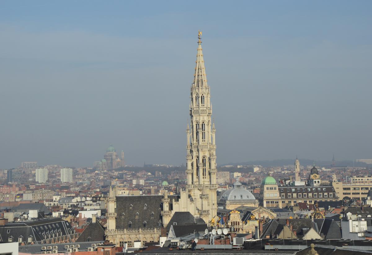 View of Brussels (Town Hall of Grand Place)